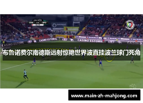 布鲁诺费尔南德斯远射惊艳世界波直挂波兰球门死角